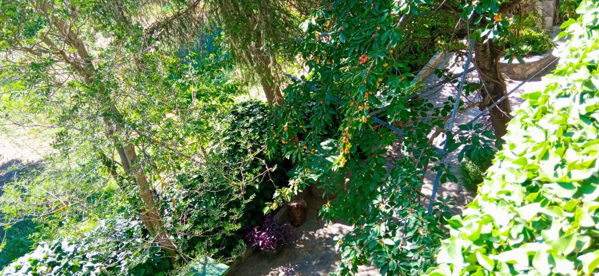 Hotel Maria Agios Georgios  Esterno foto